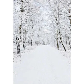 Fotografia v pozadí snehu lesa Bokeh Zime Vianočný motív, pozadie deti, svadobné profesionálne fotografie pozadí štúdio