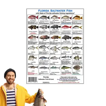 Magnetické Rybársky Preukaz Farebné Fotografie Z Florida Vôd Pravidlá Identifikovať Florida Vôd Pravidlá Karty Pre Rybolov