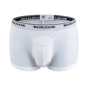 Wang Jiang Mens Bielizeň Gázy Mužské Boxerky W Puzdro Cueca Transparente Sexy Nohavičky Tenké Nízky Nárast Priedušná Boxershorts